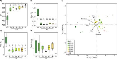 Closing the gap: examining the impact of source habitat proximity on plant and soil microbial communities in post-mining spoil heap succession